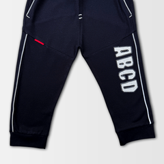 Casual Round Neck T Shirt & Trouser