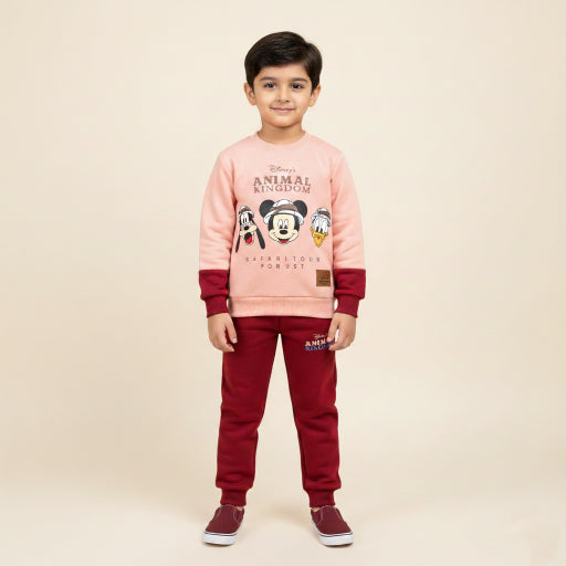 Warm Fleece fabric 2 peace Boy Suit